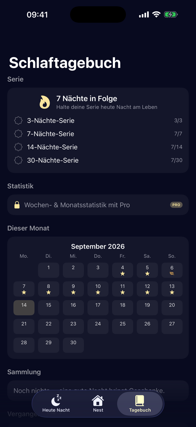 Schlaftagebuch mit einer Serie von 7 Nächten