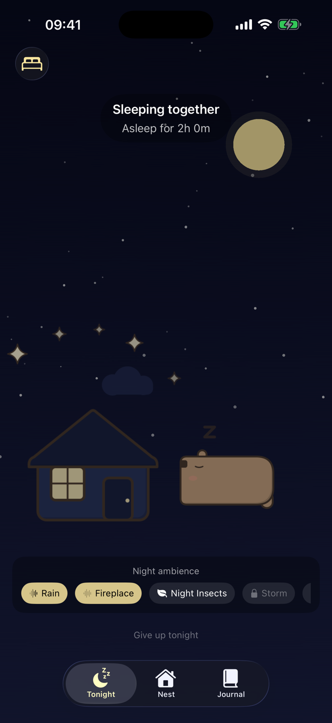 Sleeping together with night ambience